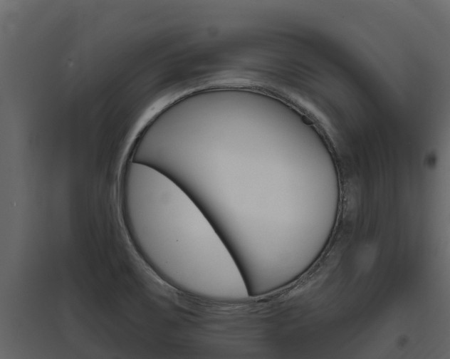 X0000097851467200803140846