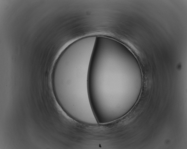 X0000097851468200803140846