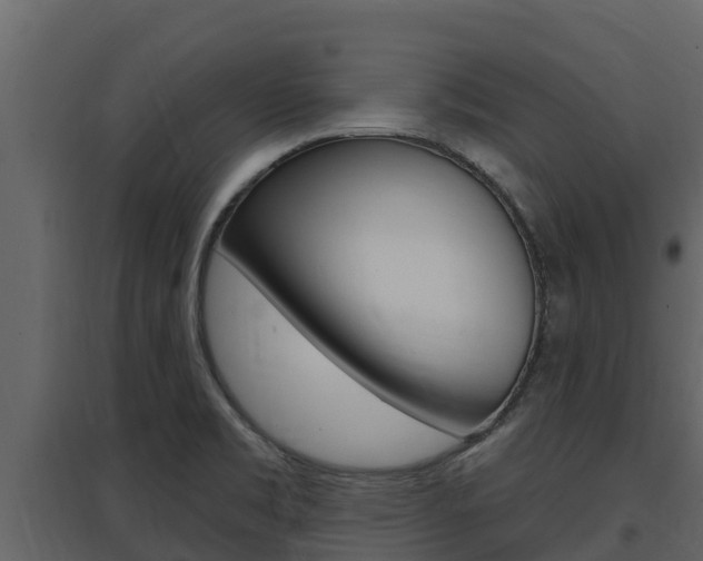 X0000097851469200803140846