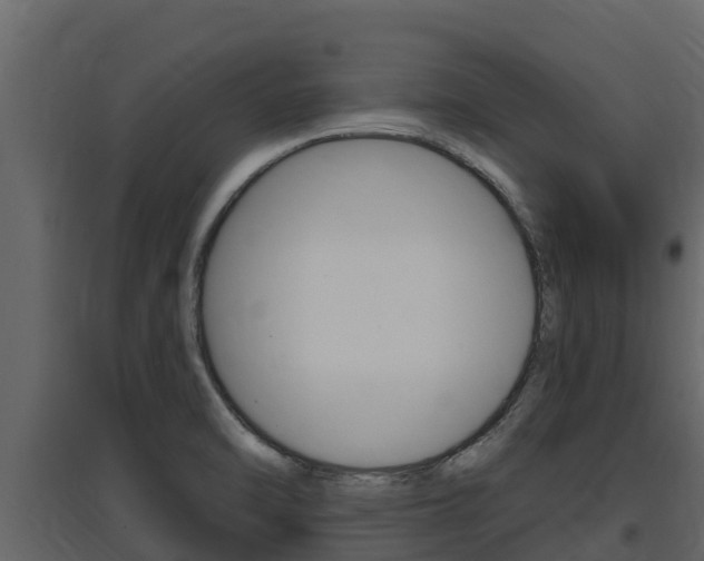 X0000097851470200803140846