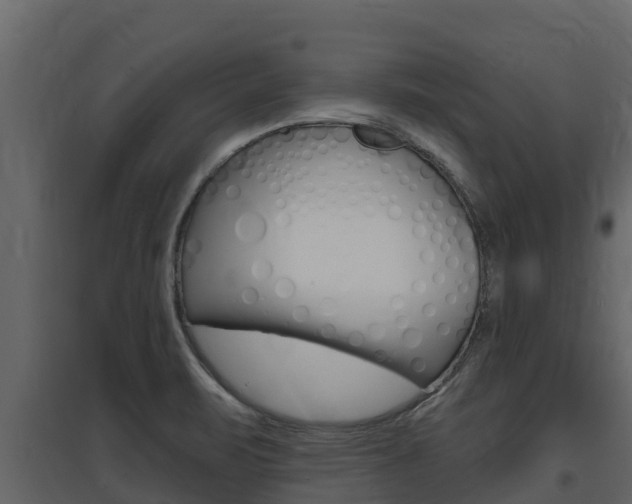 X0000097851471200803140846