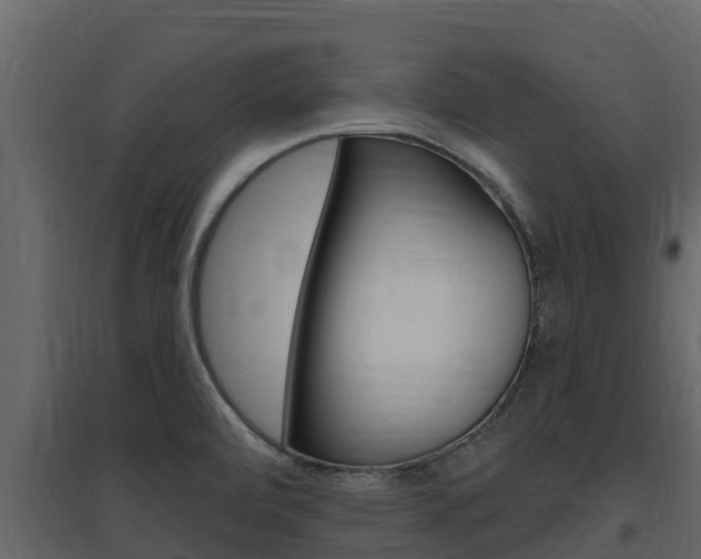 X0000097851472200803140846