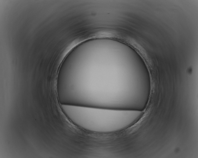 X0000097851473200803140846