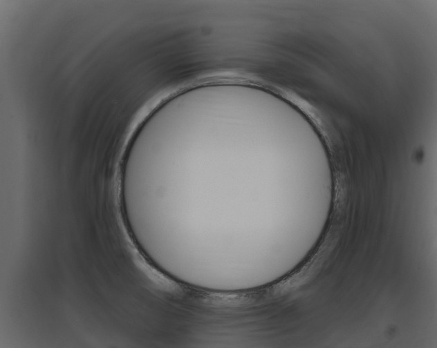 X0000097851474200803140846