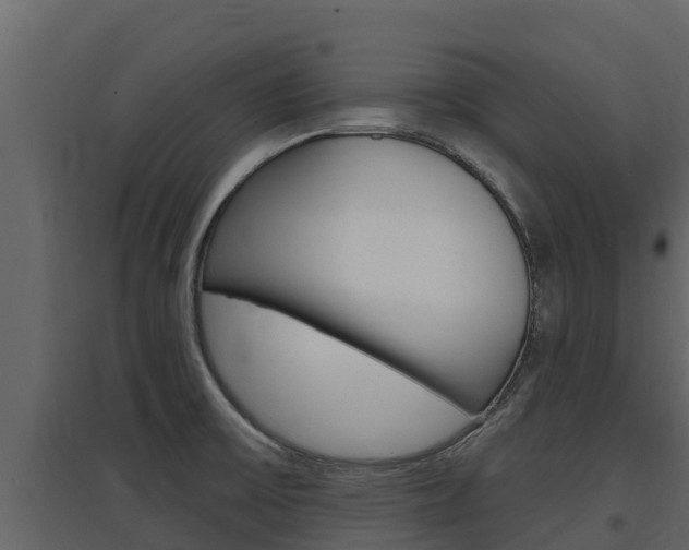 X0000097851475200803140846