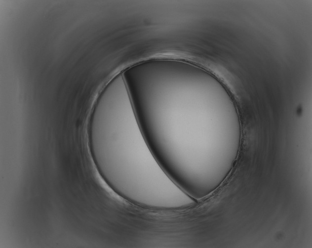 X0000097851476200803140846