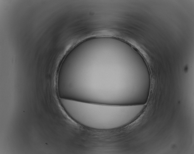 X0000097851477200803140846