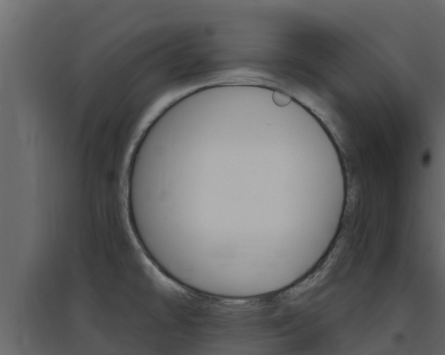 X0000097851478200803140846