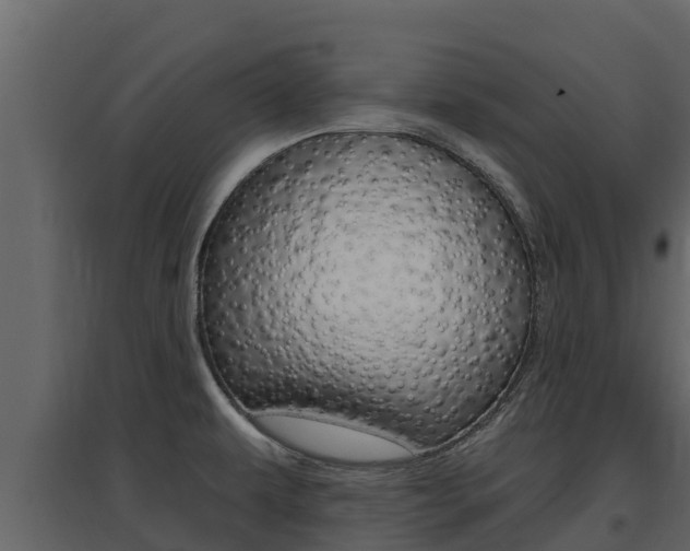 X0000097851479200803140846