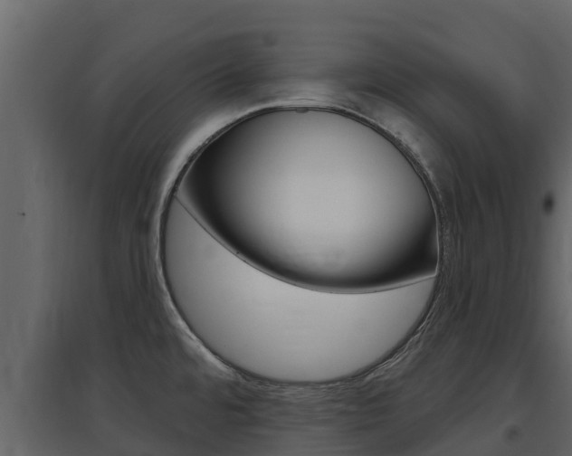 X0000097851480200803140846