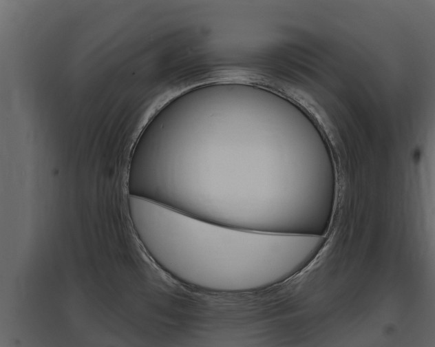 X0000097851481200803140846