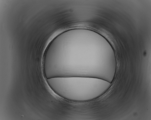 X0000097851482200803140846