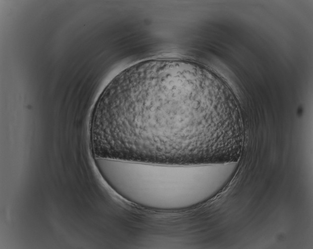 X0000097851483200803140846