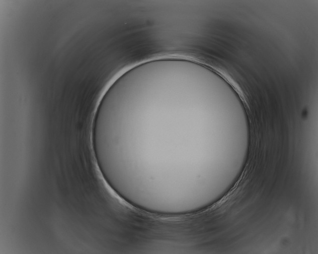 X0000097851484200803140846