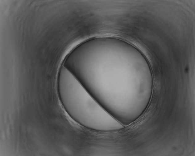 X0000097851485200803140846