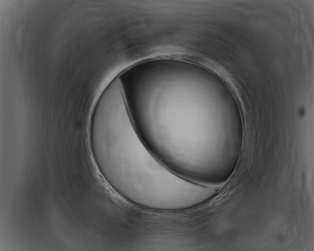 X0000097851488200803140845