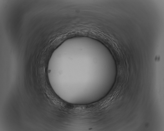 X0000097851489200803140845