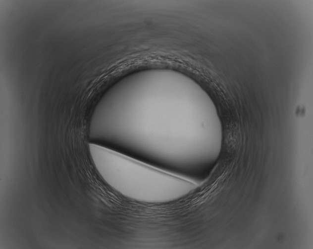 X0000097851490200803140845