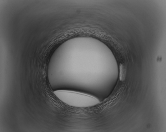 X0000097851491200803140845