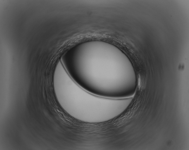 X0000097851492200803140845