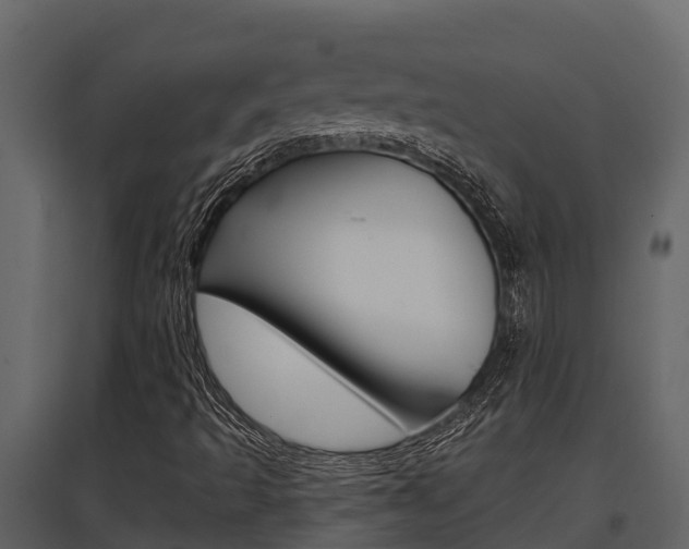 X0000097851493200803140845