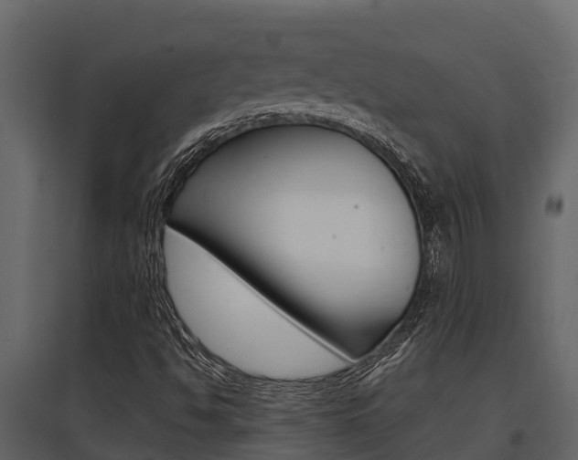 X0000097851494200803140845