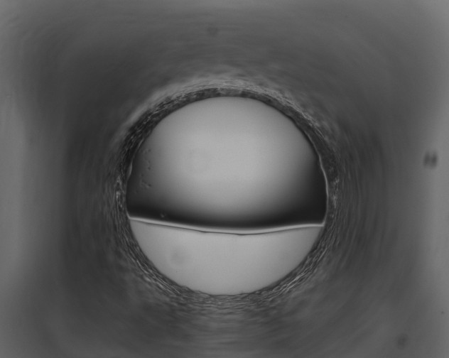 X0000097851495200803140845