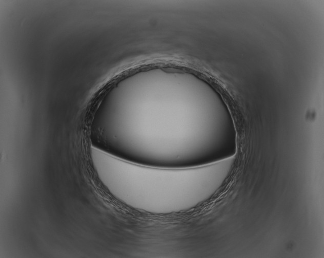 X0000097851496200803140845