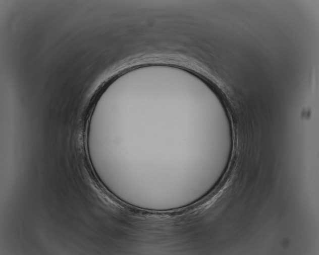 X0000097851498200803140845
