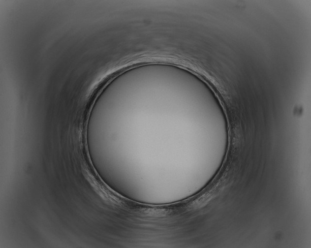 X0000097851499200803140845