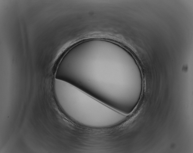 X0000097851501200803140845