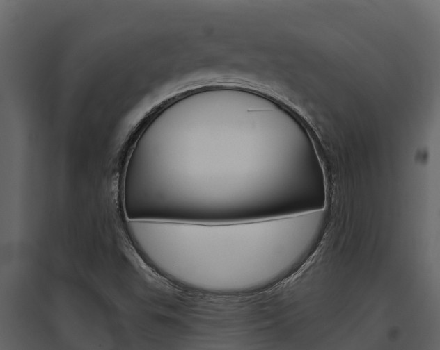 X0000097851503200803140845