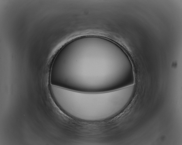 X0000097851504200803140845