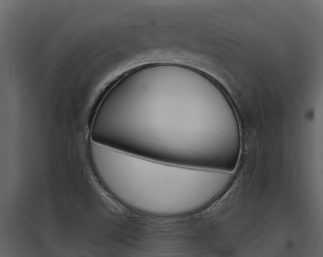X0000097851507200803140845