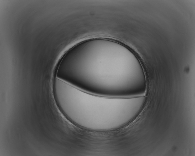 X0000097851508200803140845