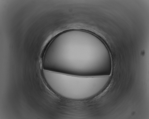 X0000097851509200803140845