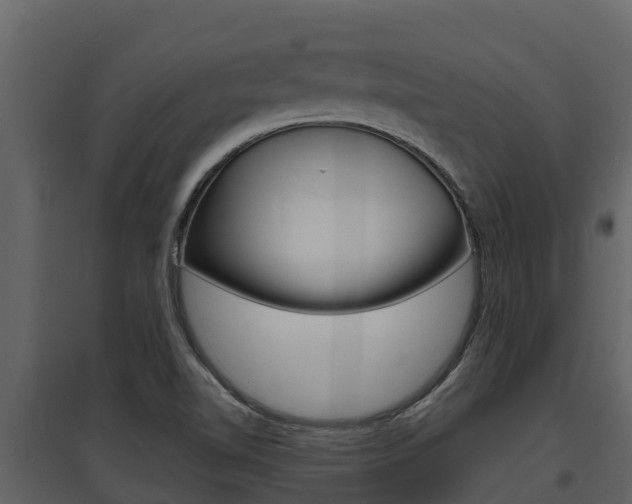 X0000097851510200803140845
