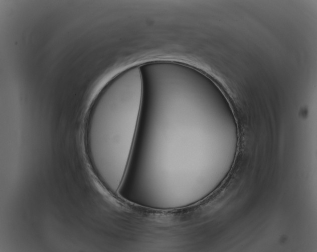 X0000097851511200803140845