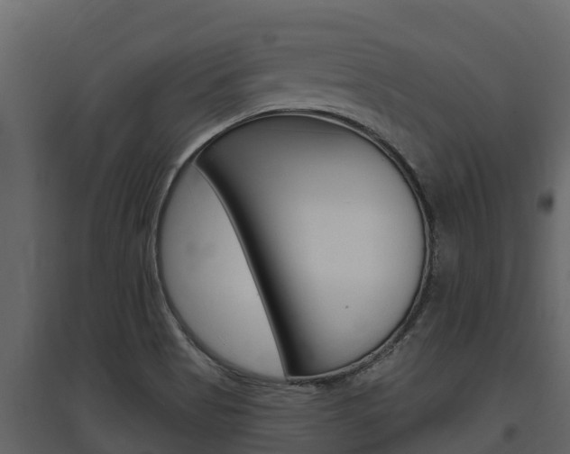 X0000097851513200803140845