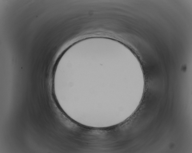 X0000097851514200803140845