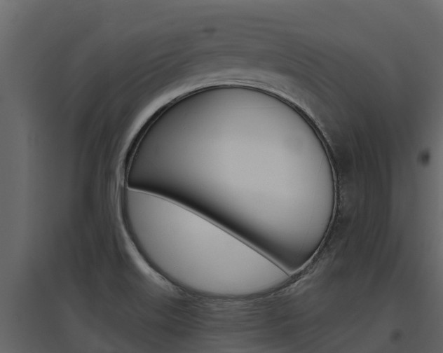 X0000097851515200803140845