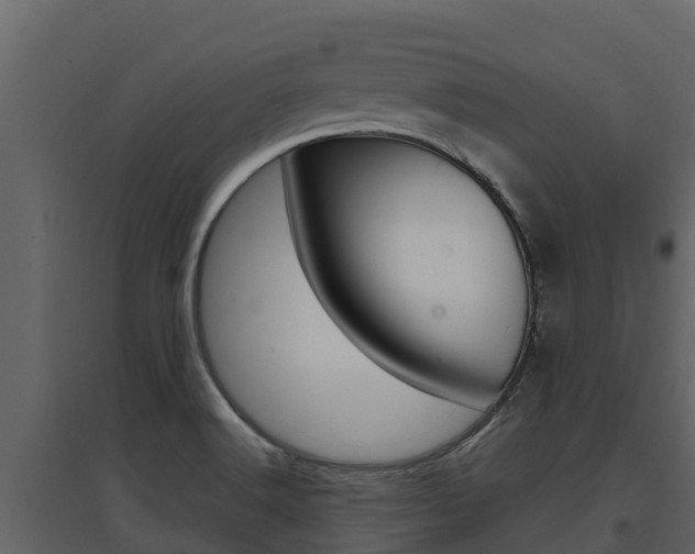 X0000097851516200803140845