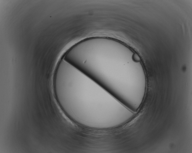 X0000097851517200803140845