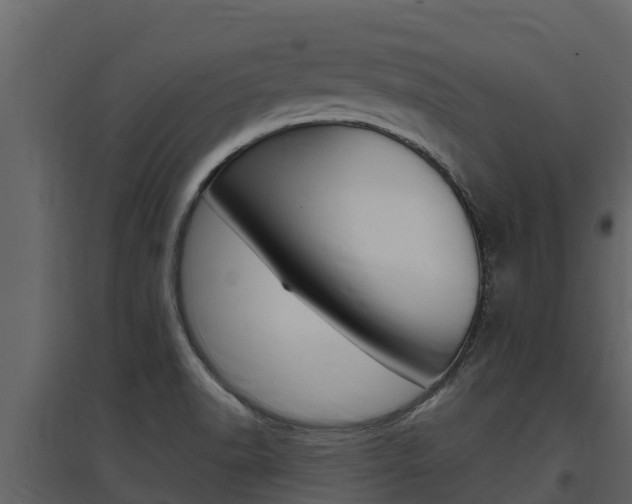X0000097851518200803140845