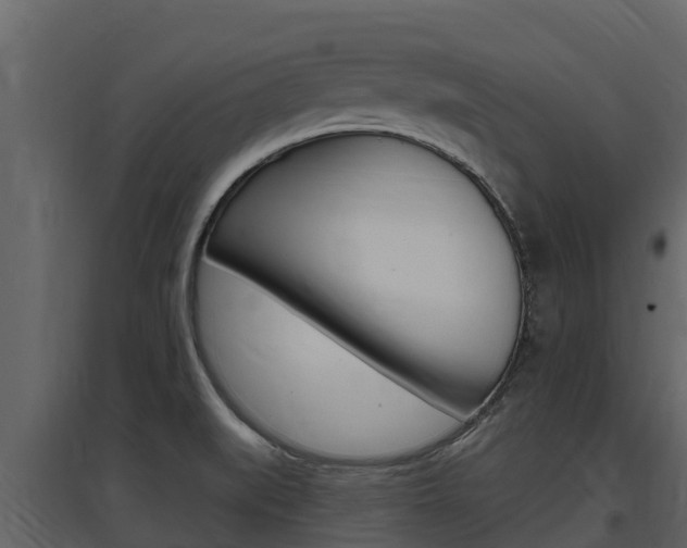 X0000097851519200803140845