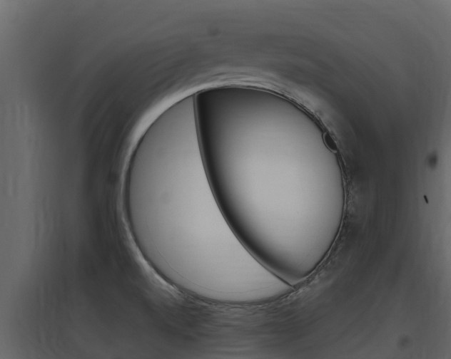 X0000097851520200803140845