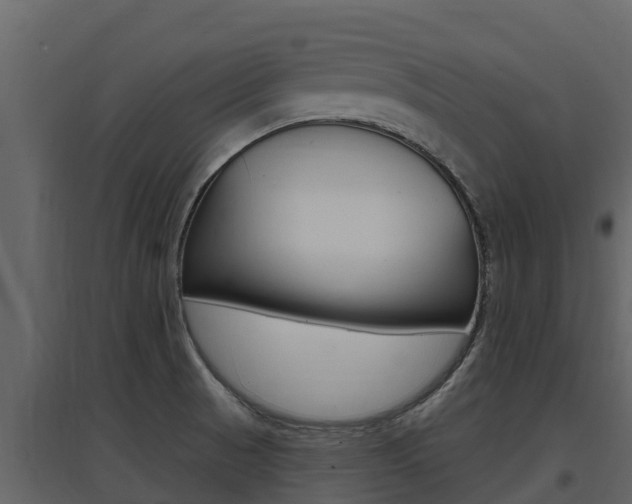 X0000097851521200803140845