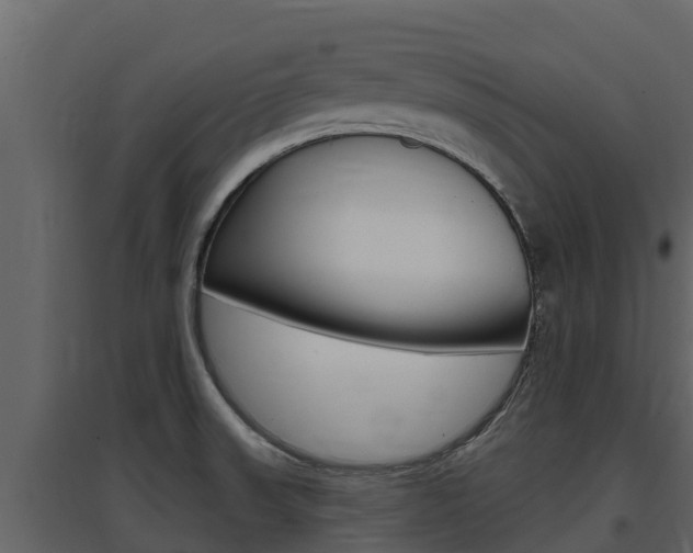 X0000097851523200803140845