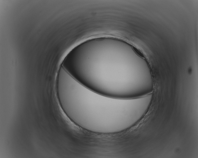 X0000097851524200803140845