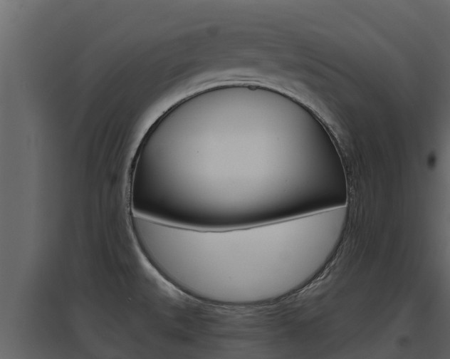 X0000097851527200803140845